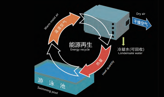 室內游泳池除濕機